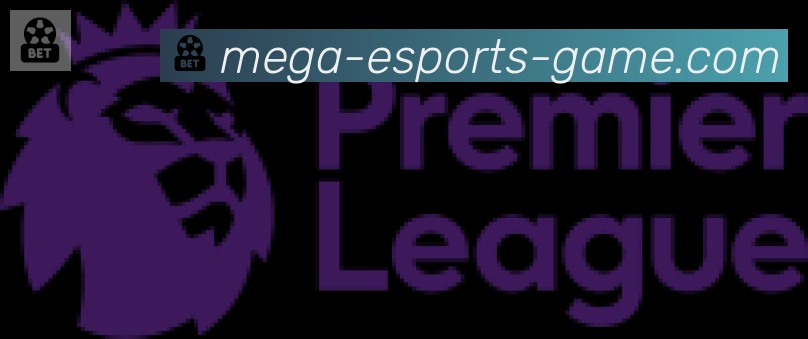 CSGO竞猜合作伙伴